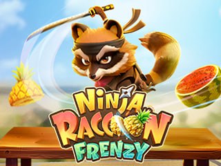 Ninja Raccoon Frenzy